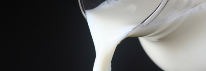 Exportação de lácteos aumentou em junho