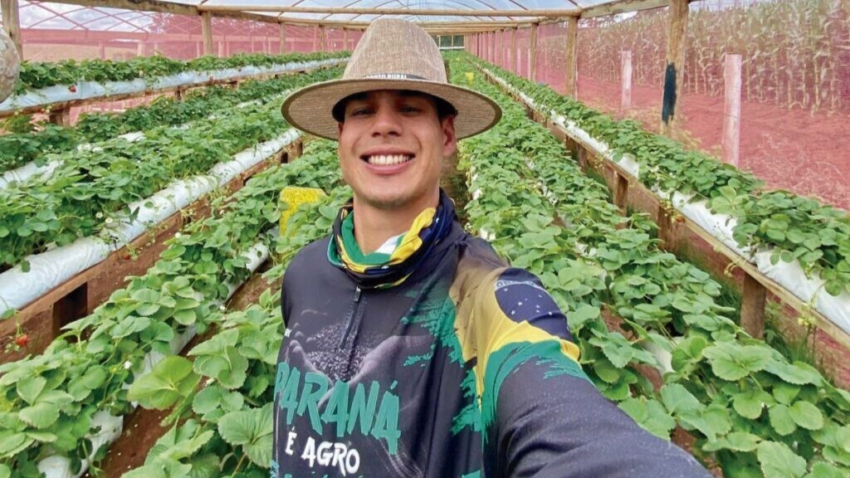 Produtor morango 1024x926