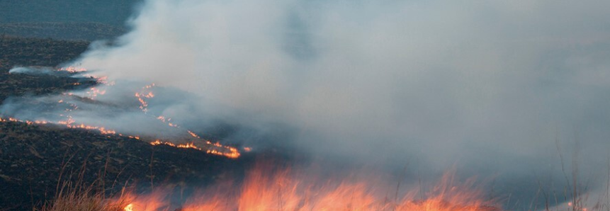 Paraná entra no período crítico para a ocorrência de incêndios em áreas rurais
