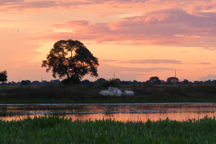 Whats App Image 2024 03 21 at 14 29 57 1