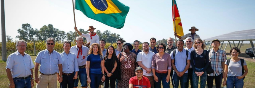 Programa Agrobrazil mostra tradição e inovação da produção gaúcha
