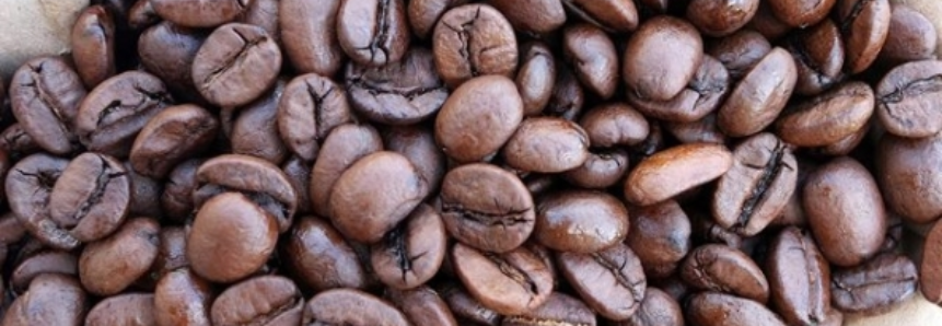 Mercado recupera e café arábica trabalha em alta em NY na manhã desta 6ª