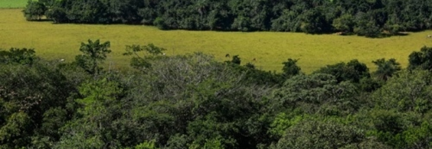 Agropecuária contribui para Brasil cumprir metas climáticas