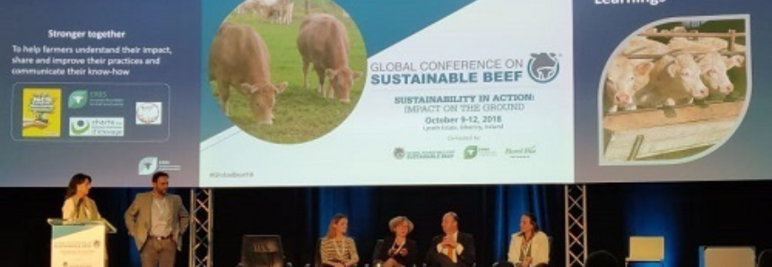 CNA participa de Conferência Global de Pecuária Sustentável na Irlanda