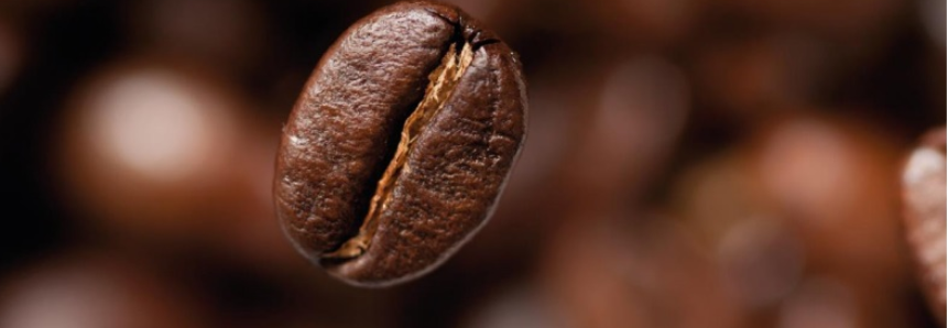 CNA realiza diagnóstico da safra de café 2018
