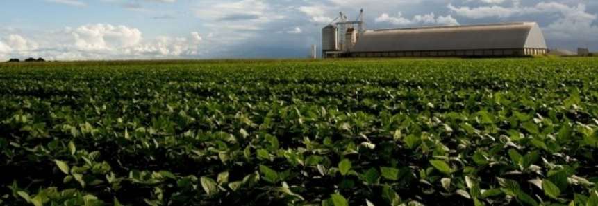 Brasil já vendeu 51,9% de sua soja