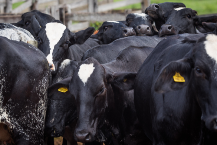 32630560757 639d17080f k