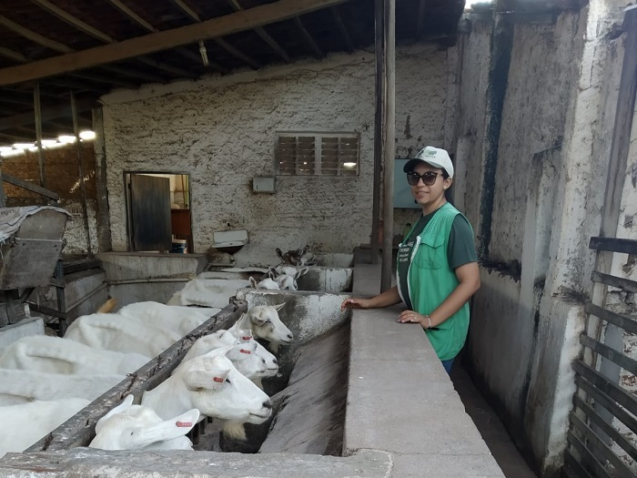 Whats App Image 2023 11 14 at 11 14 45