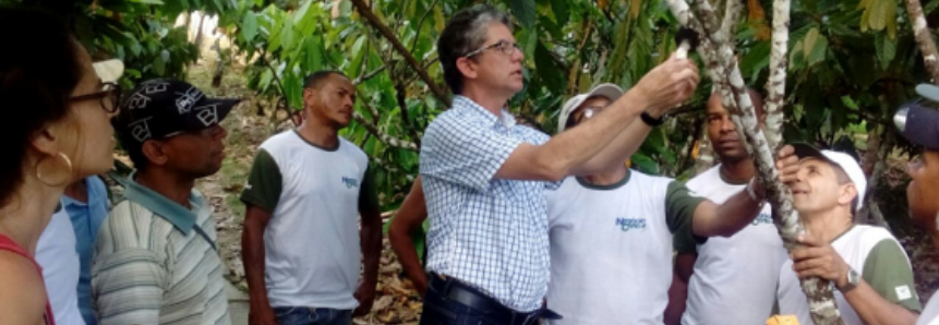 Produtores de cacau de Ipiaú participam de curso do Pró-SENAR