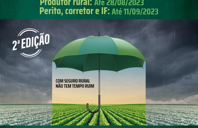 Próxima safra brasileira de milho sob riscos