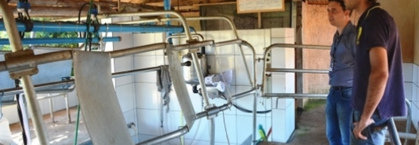 Produtor rural de Xanxerê implementa técnica americana Compost Barn para produção de leite