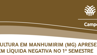 MARGEM LÍQUIDA DA CAFEICULTURA EM MANHUMIRIM-MG