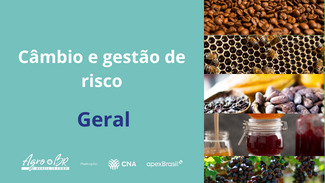 10ª CAPACITAÇÃO - Câmbio e gestão de risco