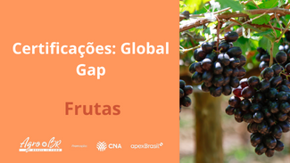 9ª CAPACITAÇÃO - Certificações: Global Gap
