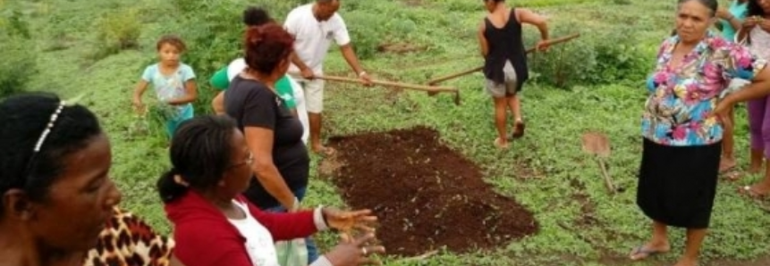 Curso de Trabalhador na Olericultura é realizado em Araguatins pelo SENAR