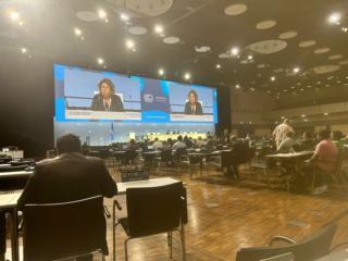 Pauta climática avança durante reunião preparatória da COP, destaca CNA