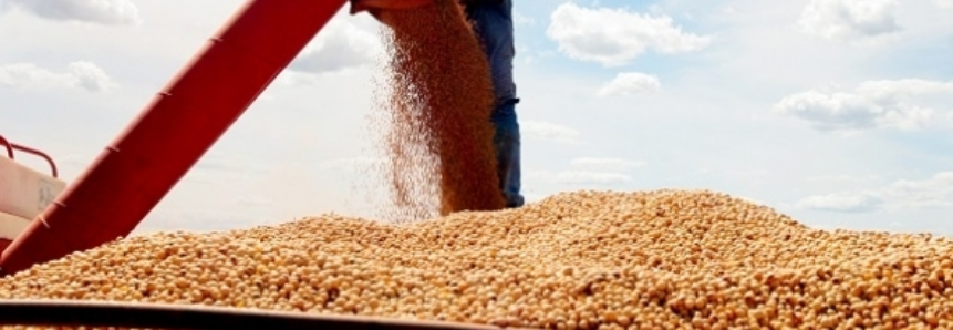 Brasil exporta o maior volume de soja para o mês de janeiro
