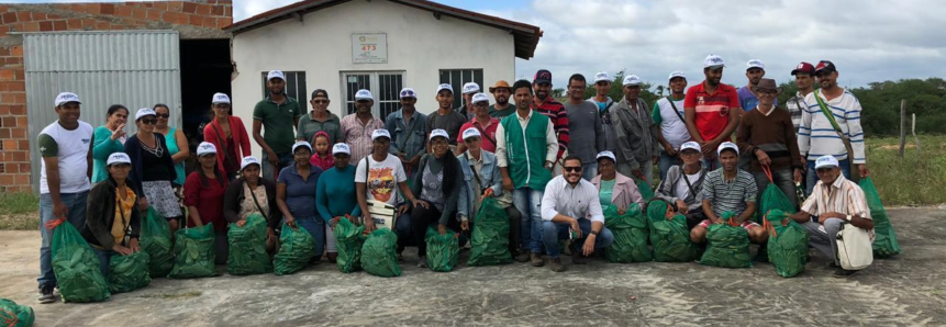 Em Dias de Campo, Senar Bahia distribui mais de 130 mil mudas de palma; ação conta com parceria do Sebrae