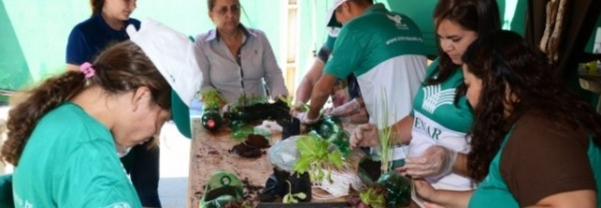 Cultivo de hortaliças em pequenos espaços é assunto na 53ª Expoagro