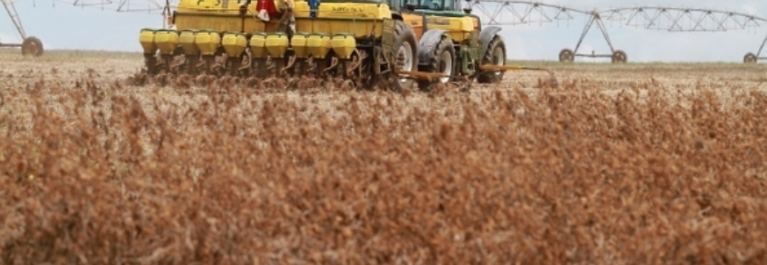 Abiove prevê produção levemente maior de soja pelo Brasil em 2018