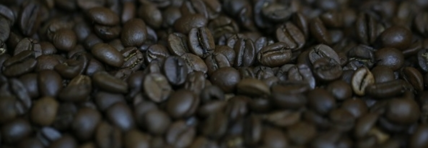 Temperaturas altas impactam florada nos cafezais, diz Cooxupé