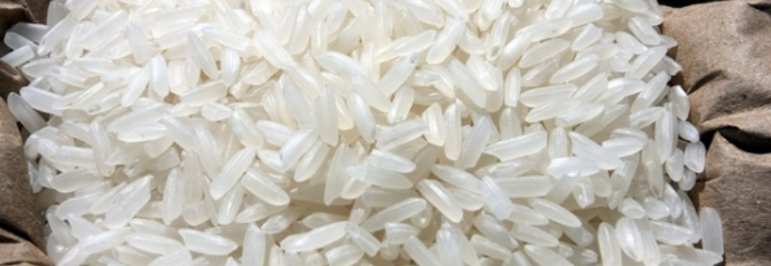 Área plantada de arroz no PI reduziu 17,6%