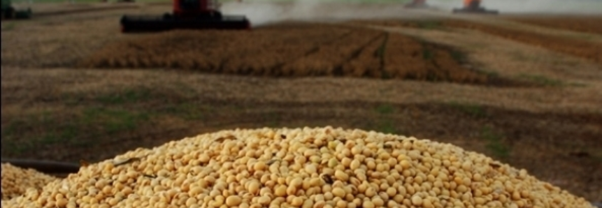 USDA: Índice de lavouras de soja em boas/excelentes condições nos EUA é mantido em 61%