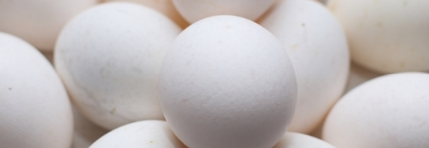 Mercado de ovos com oferta e demanda equilibradas