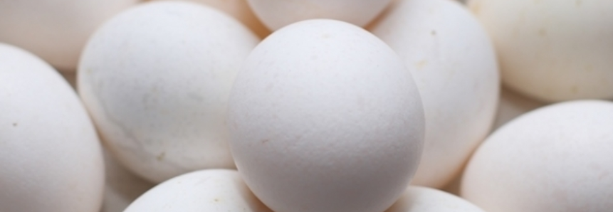 Ovos: Equilíbrio entre oferta e demanda sustenta cotações