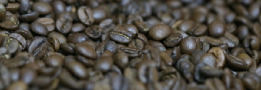 Estoques privados de café do Brasil caem para 9,86 mi de sacas, diz Conab