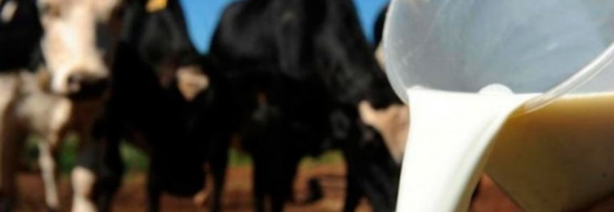 Estudo da FAEP mostra logística para escoamento da produção de leite no Paraná
