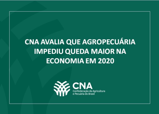 Whats App Image 2021 03 03 at 14 51 16