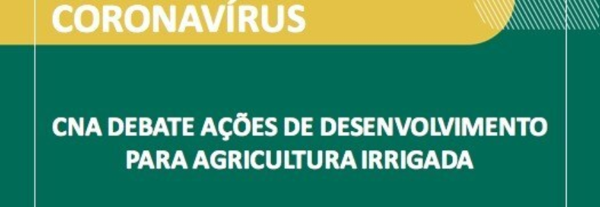 CNA debate ações de desenvolvimento para agricultura irrigada