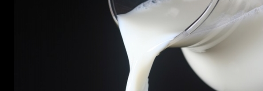 Menor oferta de matéria-prima e alta do longa vida dão sustentação aos preços do leite ao produtor