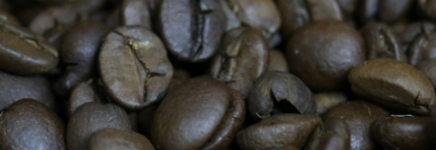 Chegada do outono deve favorecer colheita mineira de café na safra 2018
