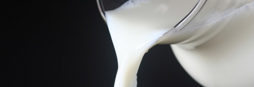 Exportação de leite: Santa Catarina se prepara para atender o mercado externo