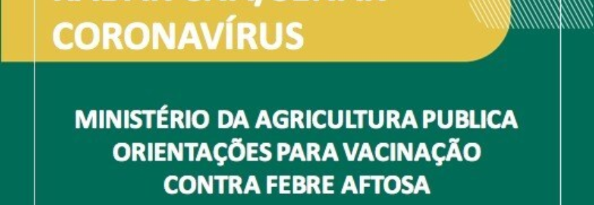 Ministério da Agricultura publica orientações para vacinação contra febre aftosa