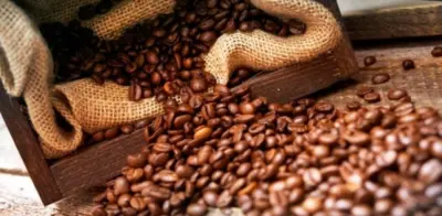 Dialogoagricola brasileua 1920x1080px 0 455291002015150100241