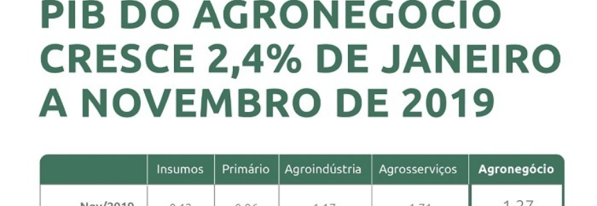 PIB do agronegócio cresce 2,4% de janeiro a novembro de 2019