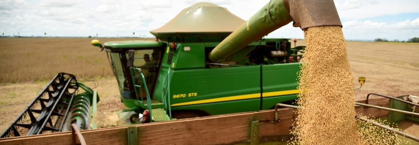 Mato Grosso do Sul: quase metade da safra de soja 2019/2020 já foi comercializada