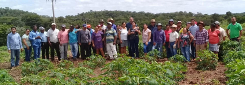 Curso de Cooperativismo Rural do Senar Goiás melhora renda de várias famílias