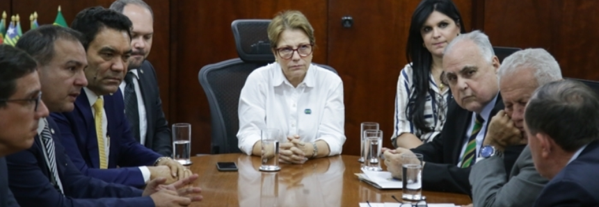 CNA E ABCC solicitam celeridade na análise de risco sobre camarão importado do Equador