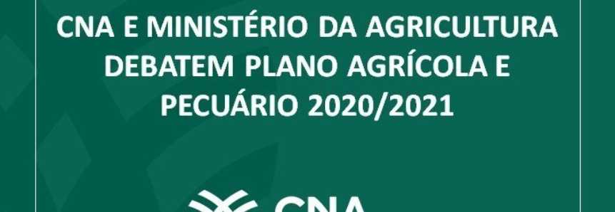 CNA e Ministério da Agricultura debatem Plano Agrícola e Pecuário 2020/2021