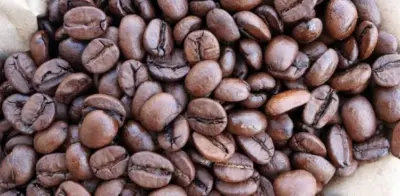 Lem2 0 126135002015362959191