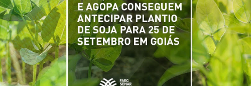 Faeg, Aprosoja-GO e Agopa conseguem antecipar plantio de soja para 25 de setembro em Goiás