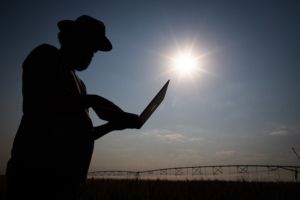 Whats App Image 2025 04 08 at 11 51 23