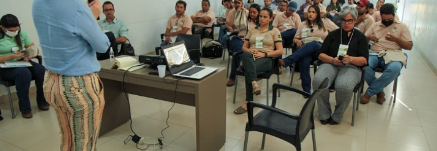 Projeto FIP Paisagens Rurais capacita técnicos em Minas Gerais e Tocantins