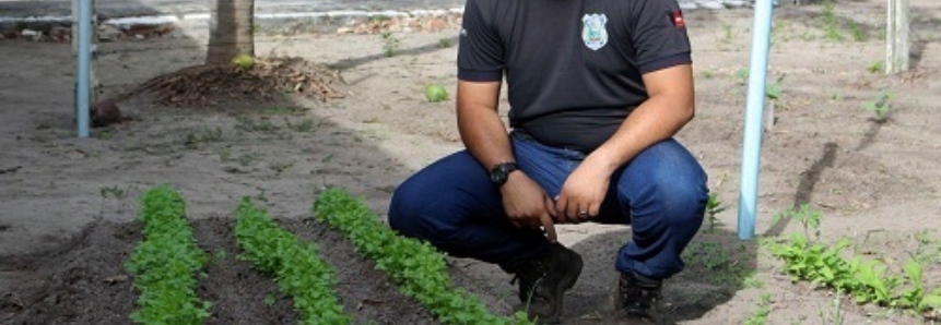 Ex-aluno do Senar ensina técnicas de agricultura para presos da Paraíba