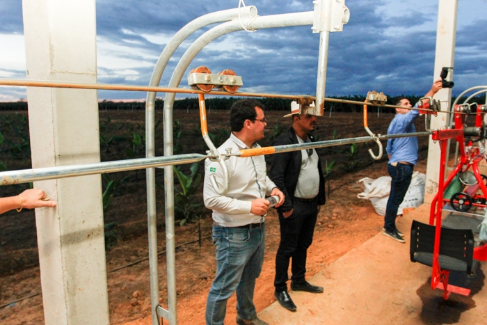 Colheita mecanizada com cabos aéreos de metal que suportam até 150 cachos de banana, o equivalente a três toneladas.