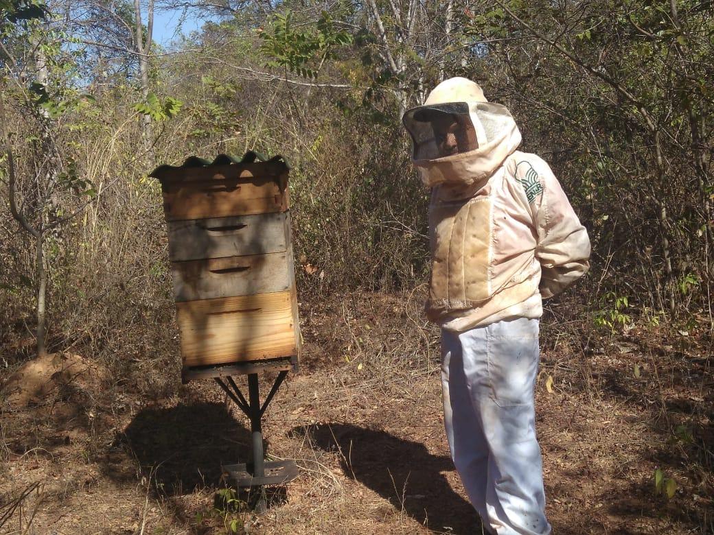 Produtores de mel do Norte de Minas Gerais vão exportar para os EUA - SENAR MINAS